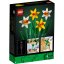 LEGO® Icons 40646 Narcisy