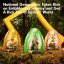 CubicFun National Geographic Pterosaurus
